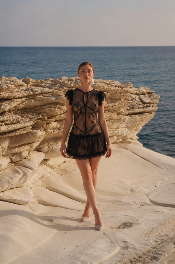 Cathy Chambre Dress