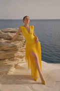 Daisy Fringe Dress