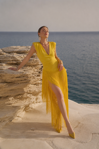 Daisy Fringe Dress
