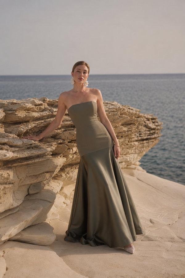 Alaaya Dress