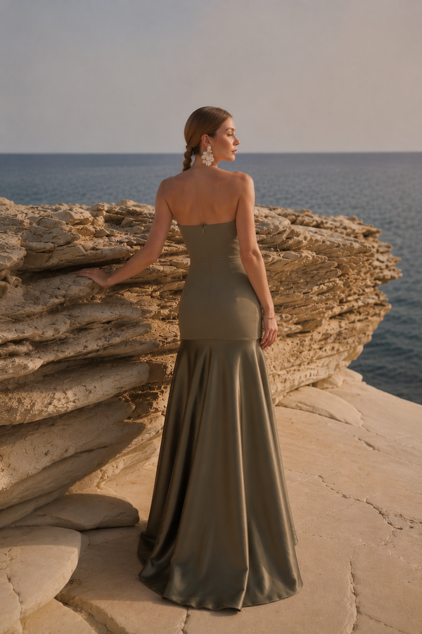 Alaaya Dress