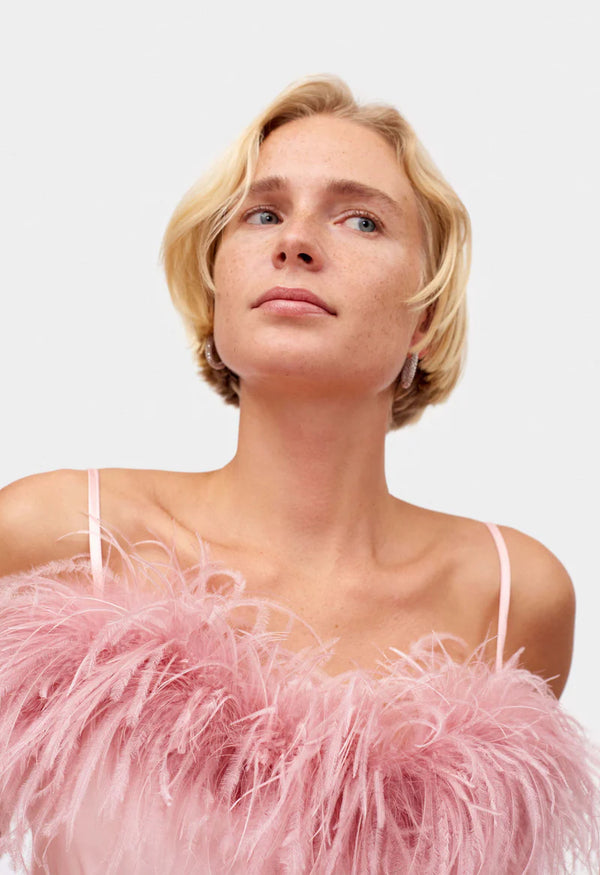 Like A Dove in Pink