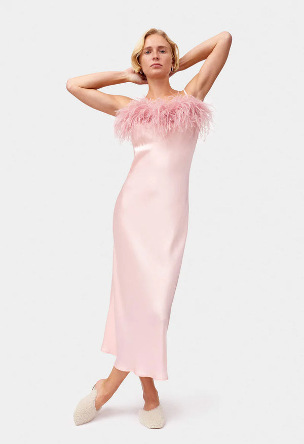 Like A Dove in Pink