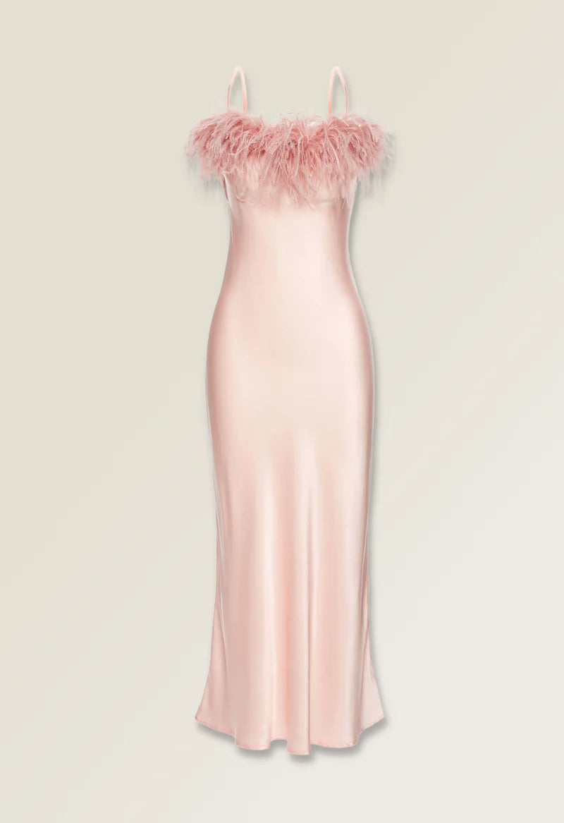 Like A Dove in Pink