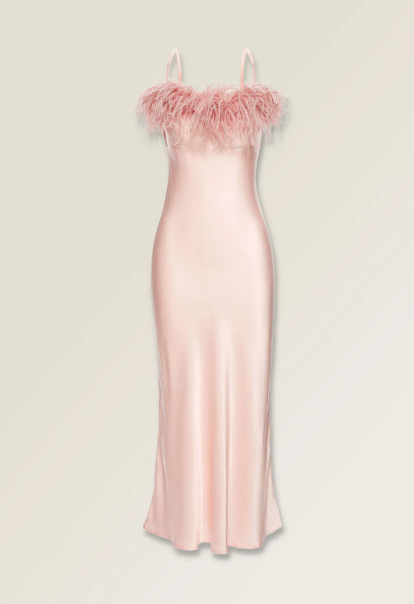 Like A Dove in Pink