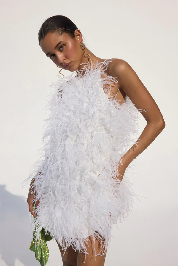 Clara Feathered Dress in White