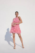 Load image into Gallery viewer, Clara Feathered Dress in Soft Pink
