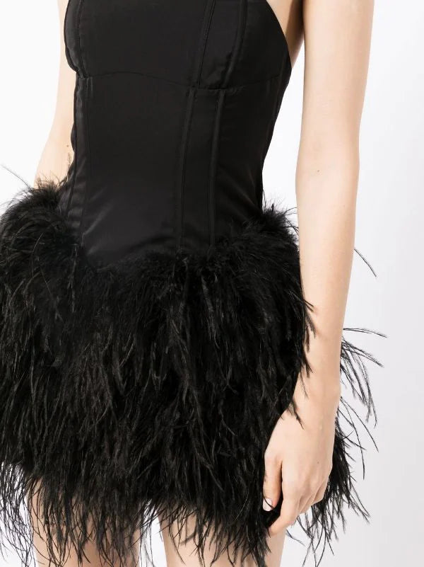 Giselle Corset Feather Dress