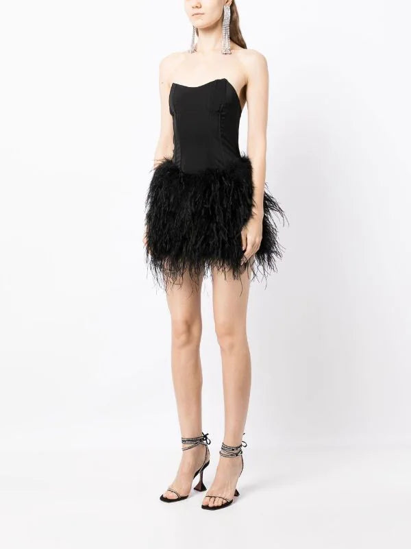 Giselle Corset Feather Dress
