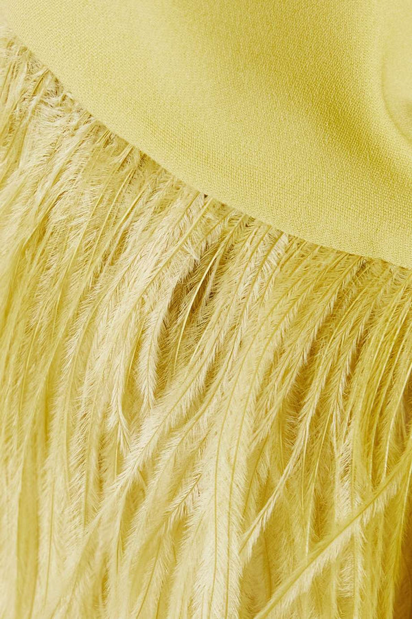 Alaska Feathered Dress