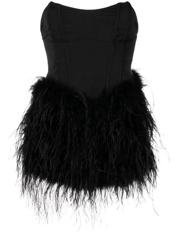 Giselle Corset Feather Dress